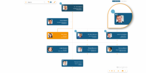 Visualization rules in the online org chart in orginio