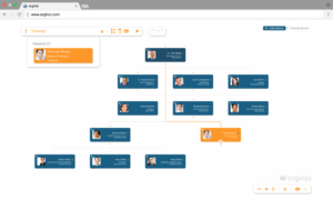 Afficher facilement les détails de l'organigramme en ligne avec orginio