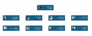 Create org charts from data from BambooHR with orginio